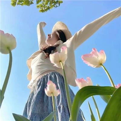 菊花村的那些事